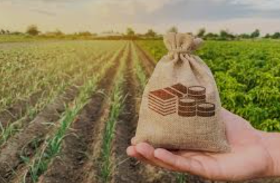 PM Thailand Ancam Cabut Subsidi bagi Petani yang Membakar Sisa Panen